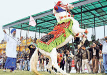 Horse Dance Competition